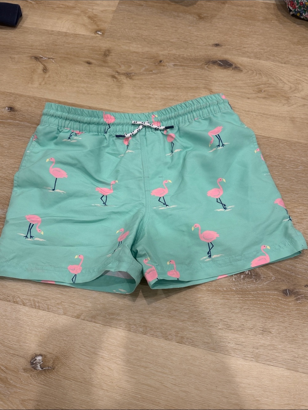 The Beaufort Bonnet Company Boys Flamingo Swim Trunks size 10